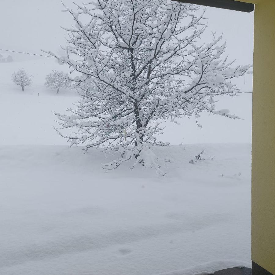 Greimblick Διαμέρισμα Sankt Peter am Kammersberg Εξωτερικό φωτογραφία